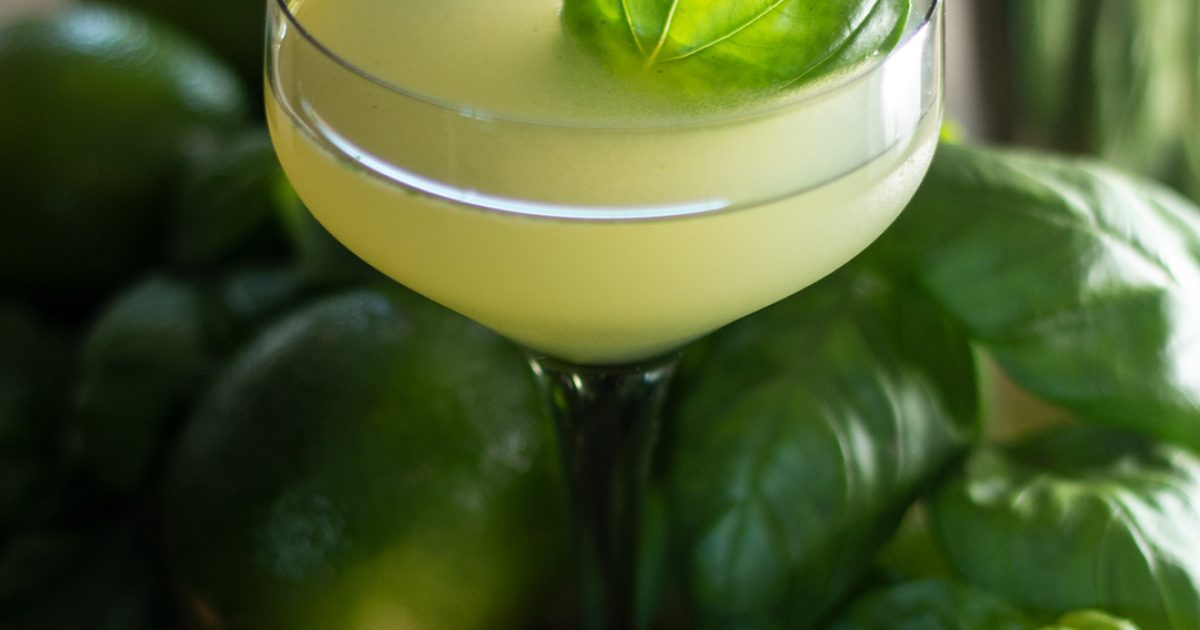Basil gimlet st george spirits