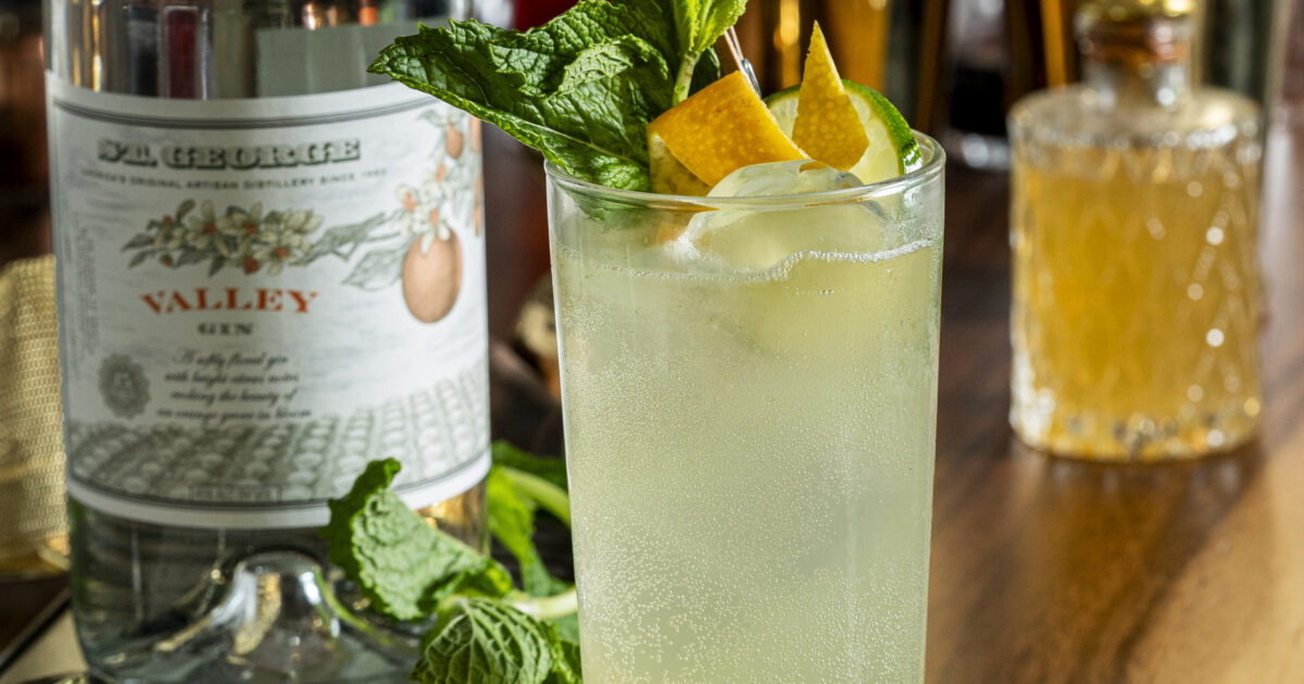 Valley Gin-gin Mule 