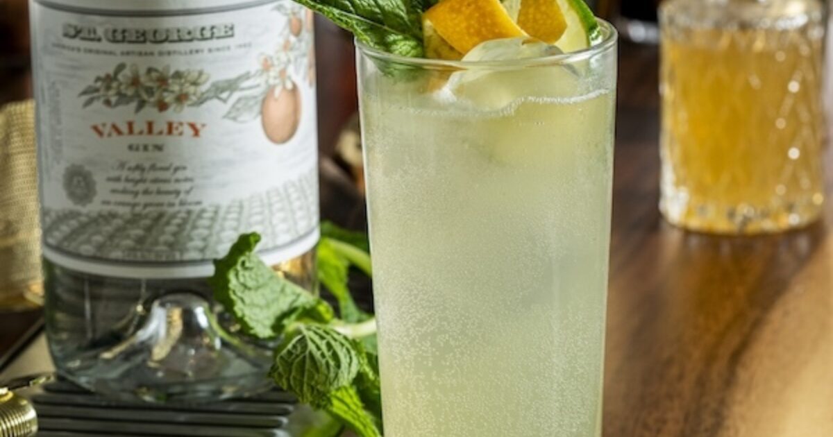 Valley Gin-Gin Mule | St. George Spirits