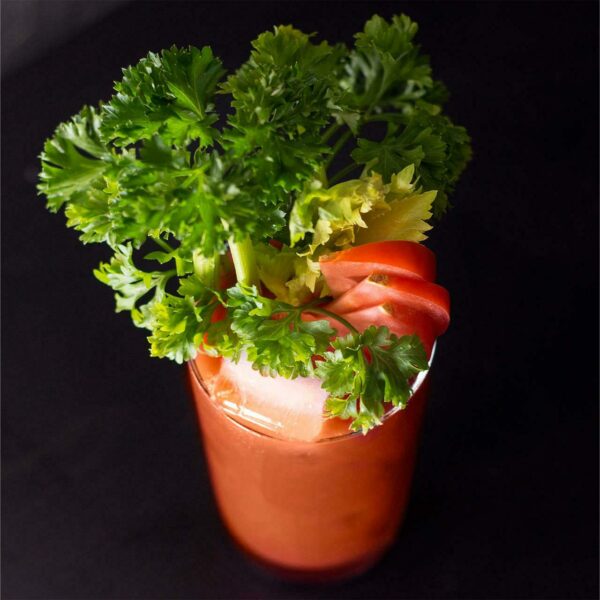 A bloody mary with oodles of parsley