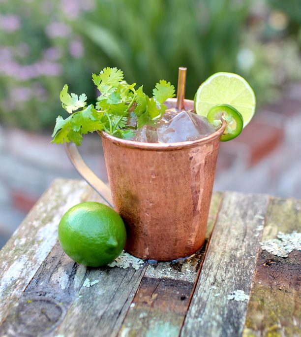 Copper mug overflowing with mint and ice